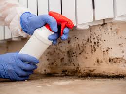 Best HVAC Mold Inspection and Cleaning in USA